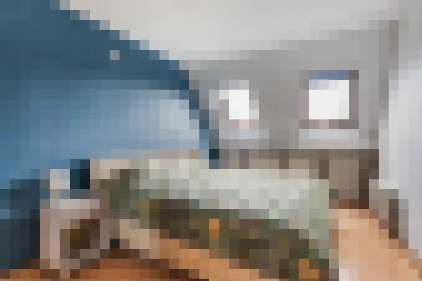 De Braak 5 Menaam thumbnail 33