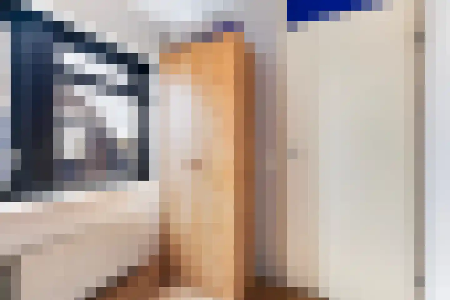 De Braak 5 Menaam thumbnail 36