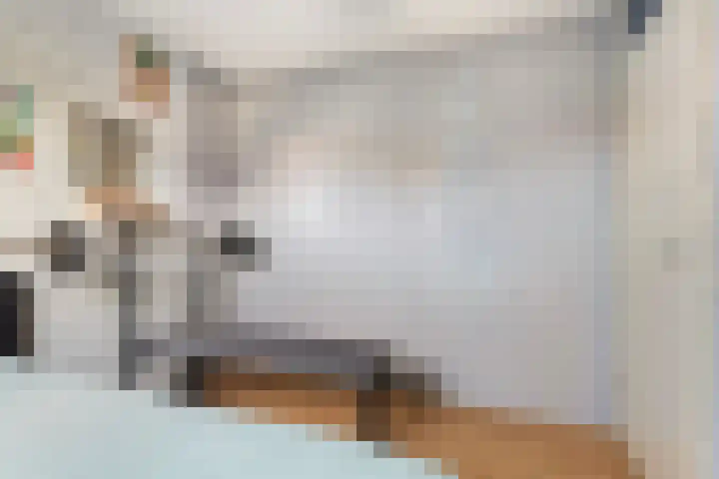 De Braak 5 Menaam thumbnail 38