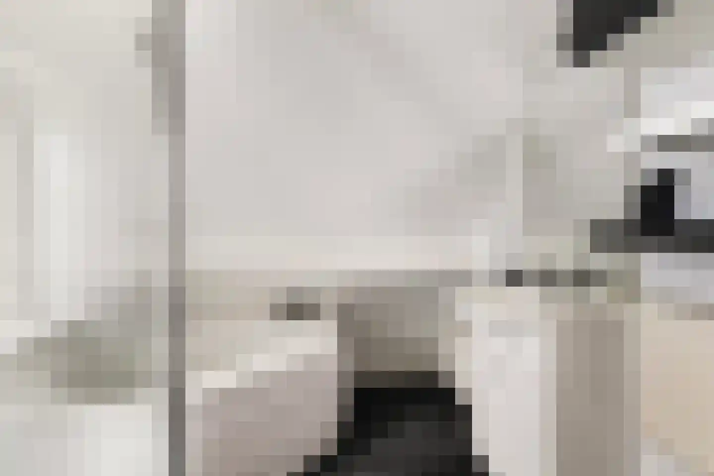 De Braak 5 Menaam thumbnail 39