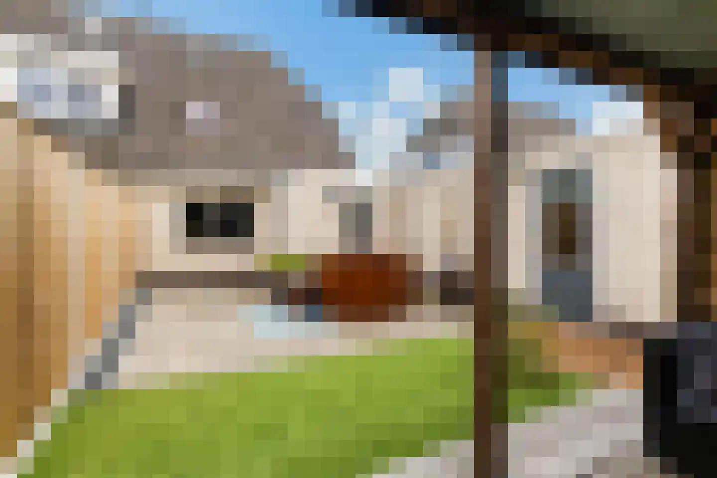 De Braak 5 Menaam thumbnail 4