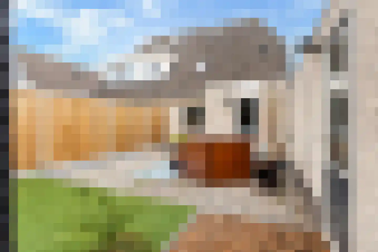 De Braak 5 Menaam thumbnail 41