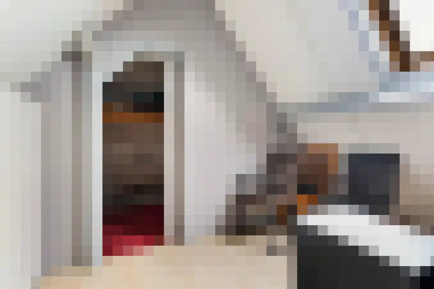 De Braak 5 Menaam thumbnail 43