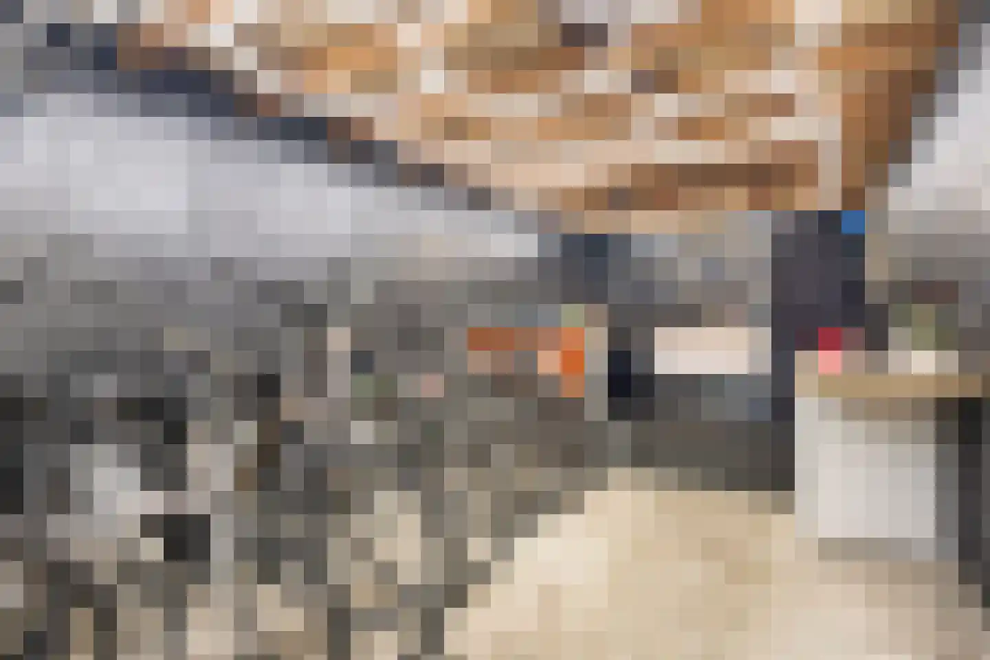 De Braak 5 Menaam thumbnail 46
