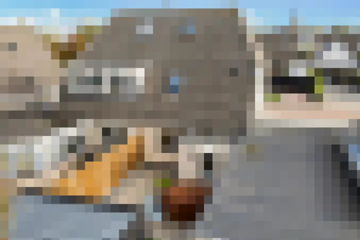 De Braak 5 Menaam thumbnail 47