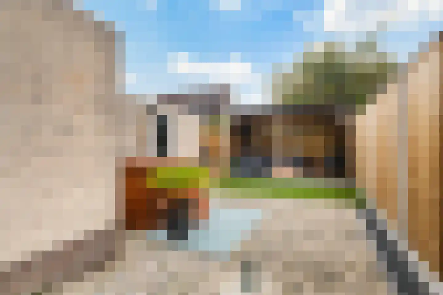 De Braak 5 Menaam thumbnail 49