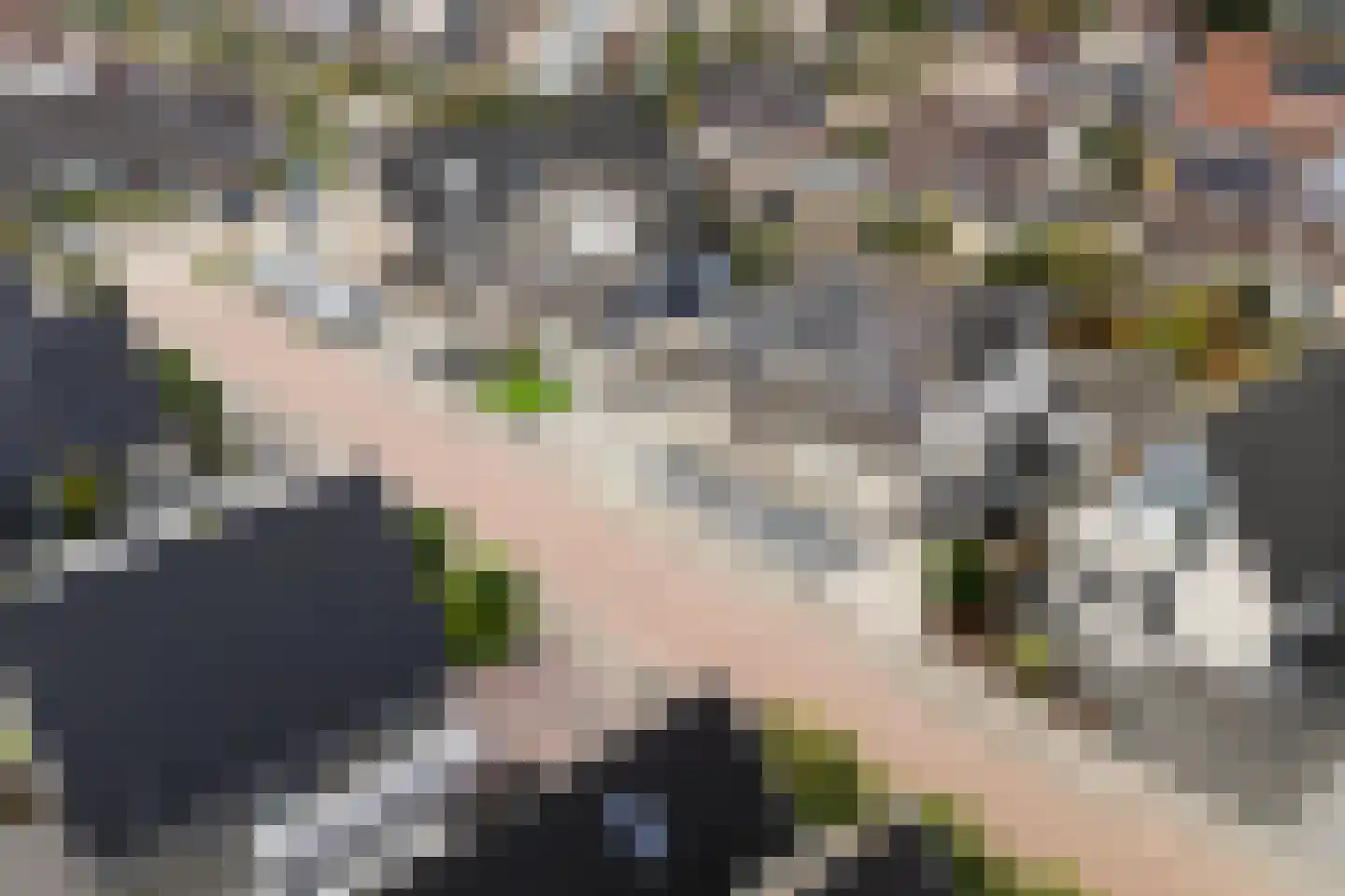 De Braak 5 Menaam thumbnail 51
