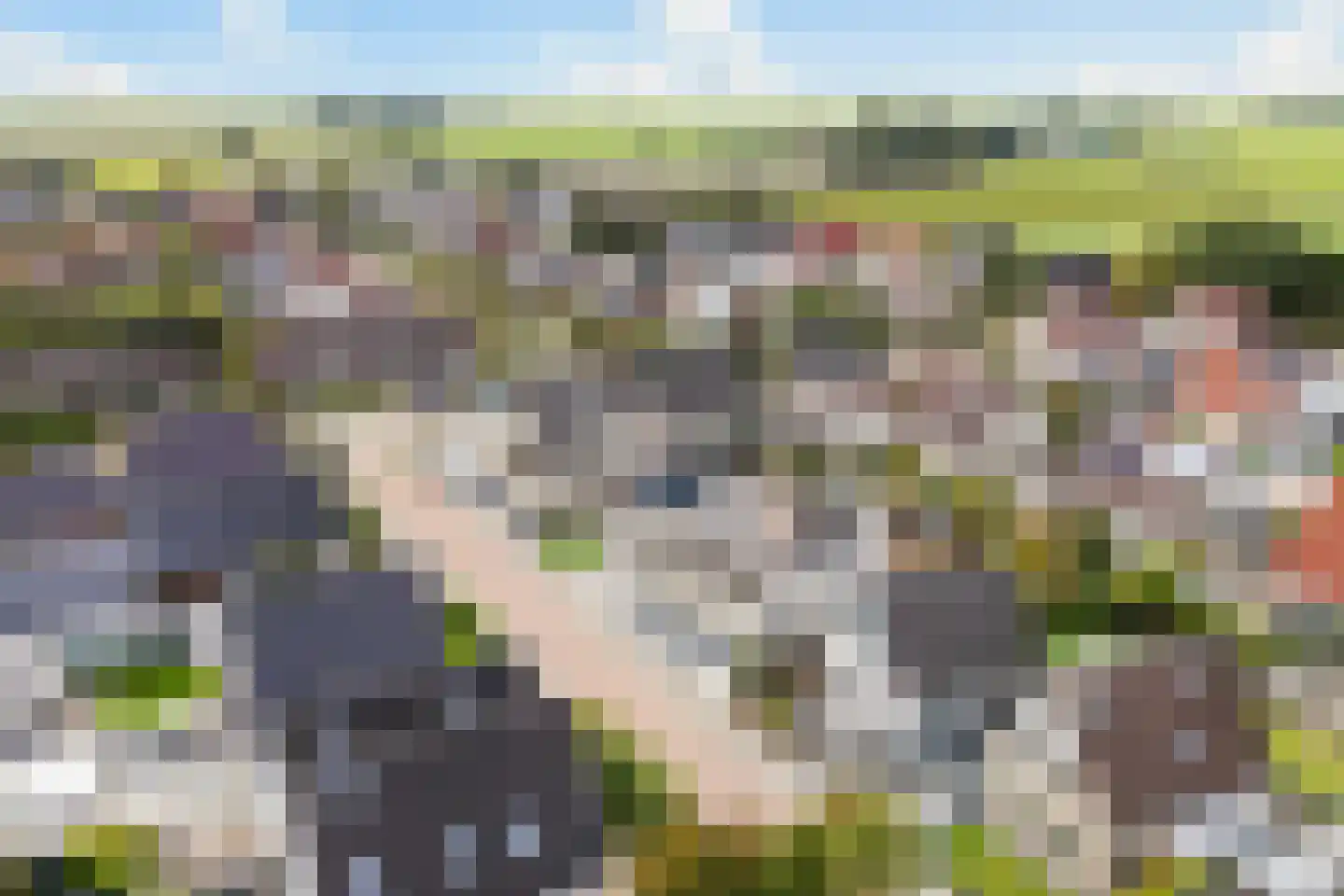 De Braak 5 Menaam thumbnail 52