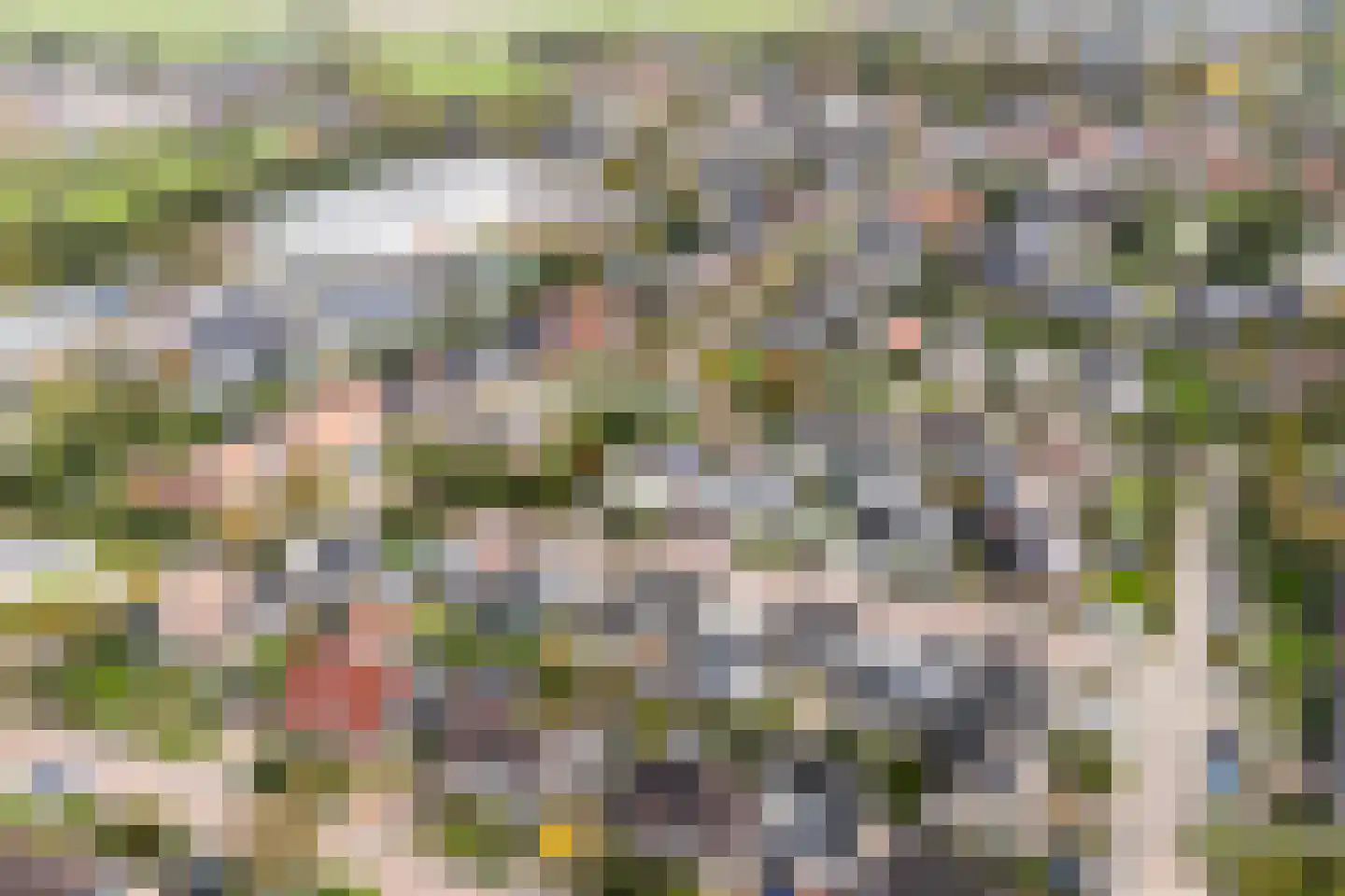 De Braak 5 Menaam thumbnail 53