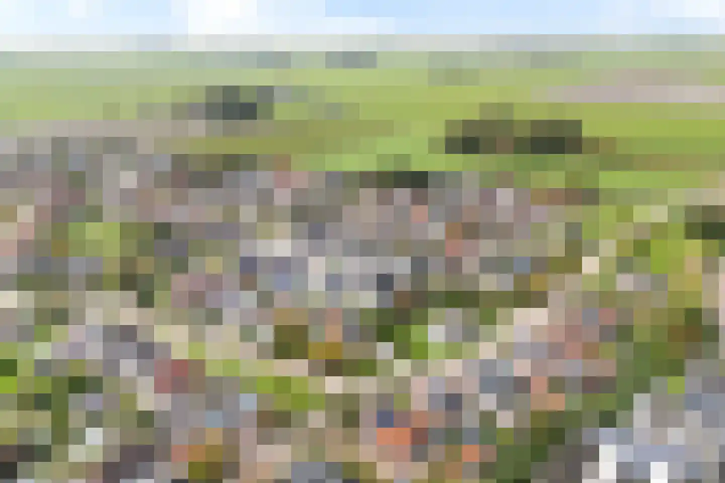 De Braak 5 Menaam thumbnail 54