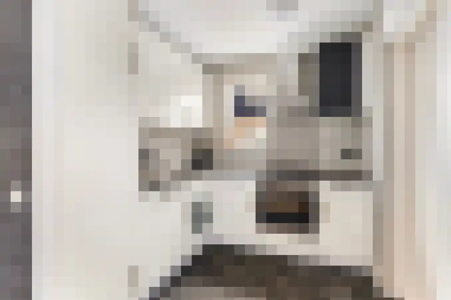 De Braak 5 Menaam thumbnail 9