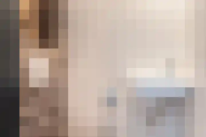 De Braak 9 Menaam thumbnail 15