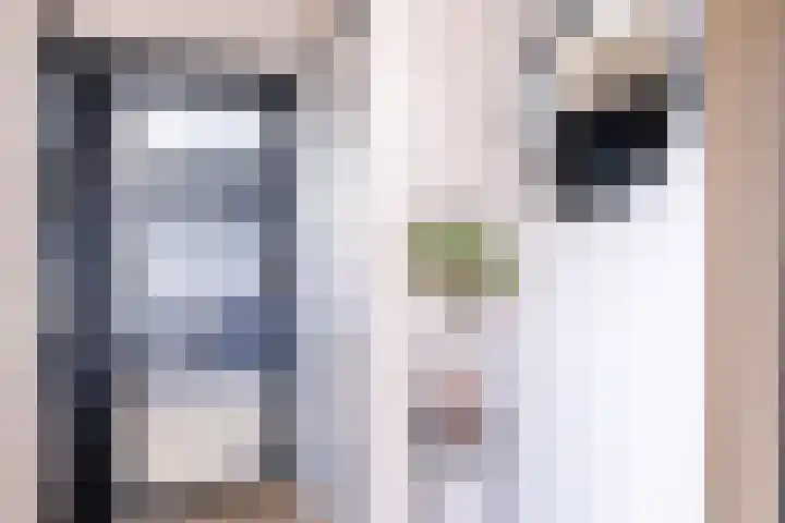 De Braak 9 Menaam thumbnail 16