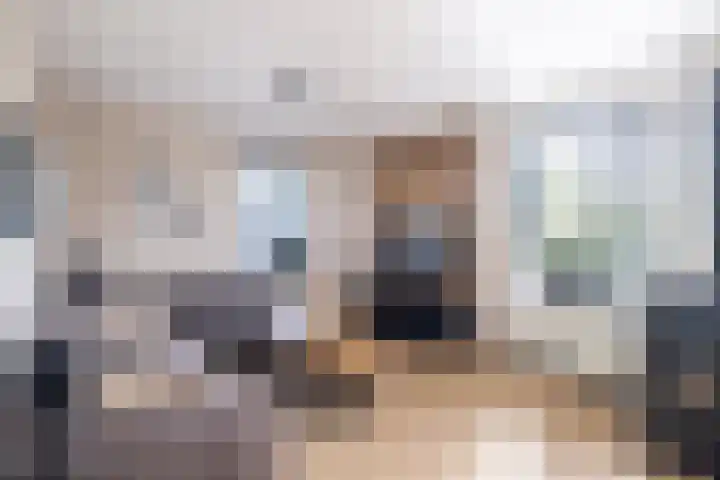 De Braak 9 Menaam thumbnail 21