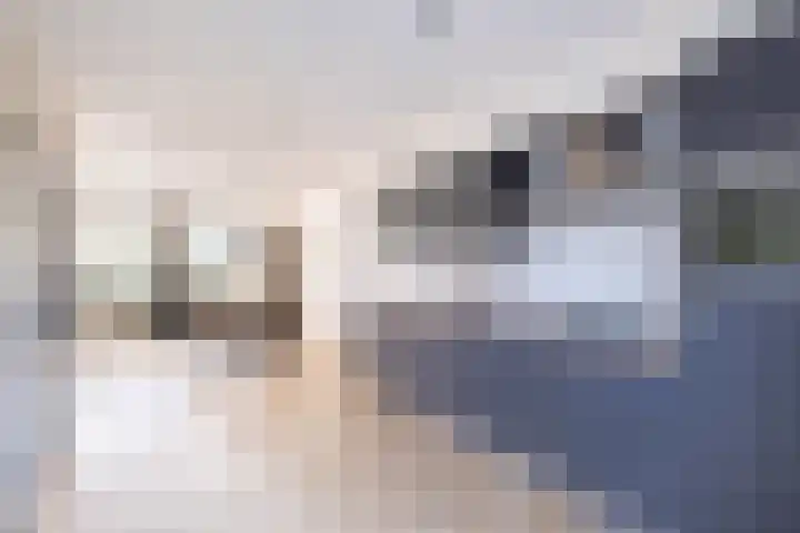 De Braak 9 Menaam thumbnail 29