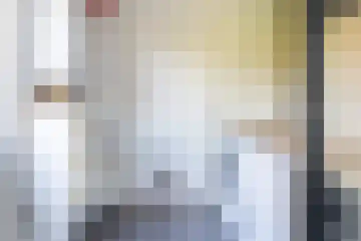 De Braak 9 Menaam thumbnail 31