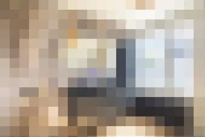 De Braak 9 Menaam thumbnail 39