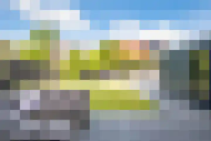 De Braak 9 Menaam thumbnail 4