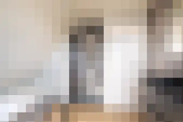 De Braak 9 Menaam thumbnail 40