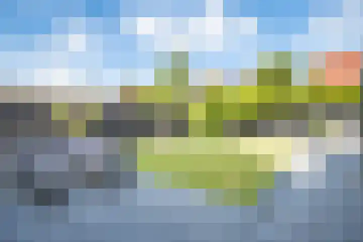 De Braak 9 Menaam thumbnail 47