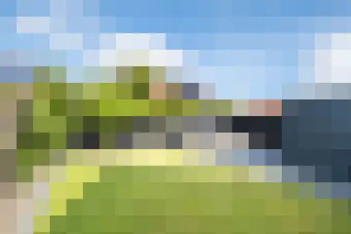 De Braak 9 Menaam thumbnail 48