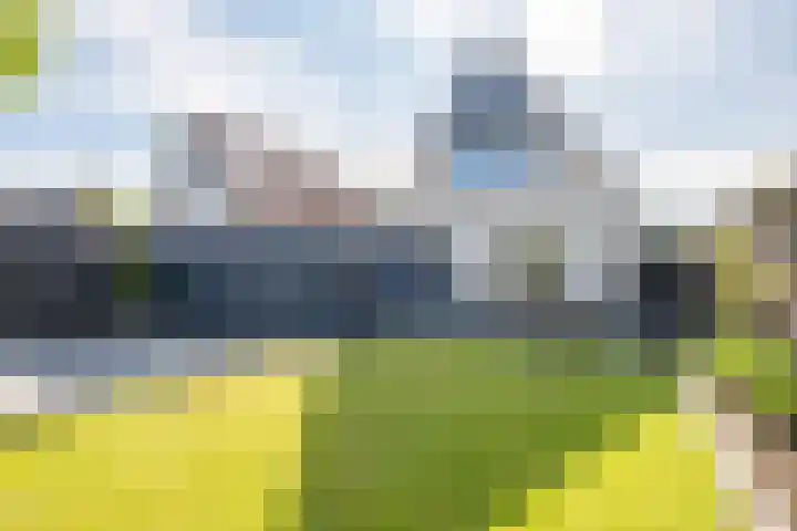 De Braak 9 Menaam thumbnail 5