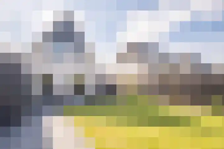 De Braak 9 Menaam thumbnail 51