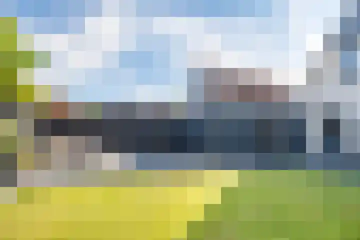 De Braak 9 Menaam thumbnail 52