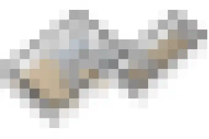 De Braak 9 Menaam thumbnail 54