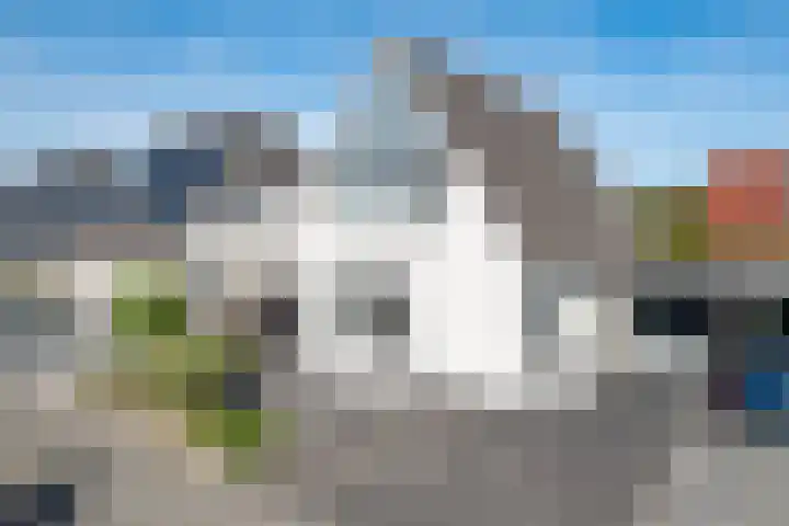 De Braak 9 Menaam thumbnail 61