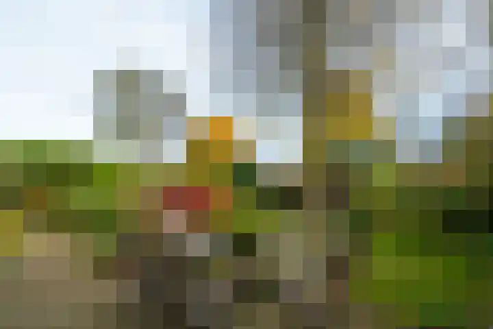 De Braakweg 106 Enschede thumbnail 49