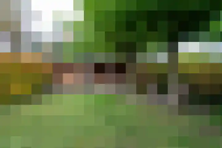 De Braakweg 106 Enschede thumbnail 56