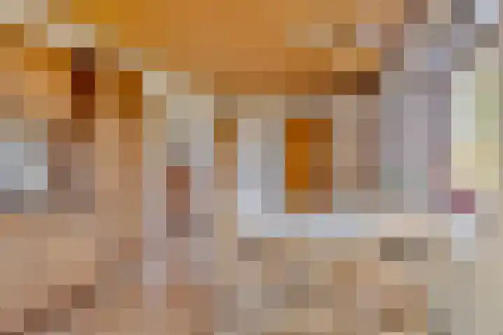 De Braakweg 140 Enschede thumbnail 15