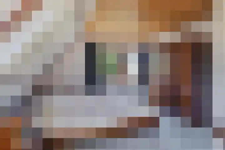 De Braakweg 140 Enschede thumbnail 25