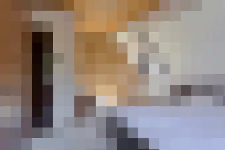 De Braakweg 140 Enschede thumbnail 26