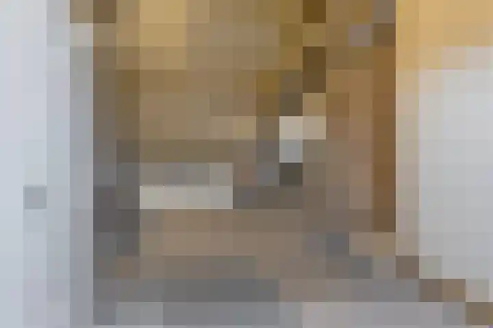 De Braakweg 140 Enschede thumbnail 34