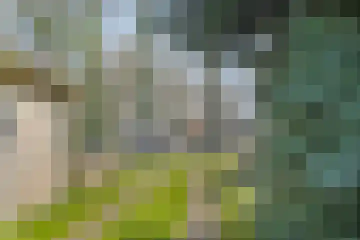 De Braakweg 140 Enschede thumbnail 39