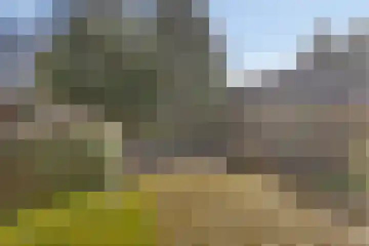 De Braakweg 140 Enschede thumbnail 4