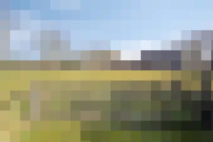 De Braakweg 140 Enschede thumbnail 42
