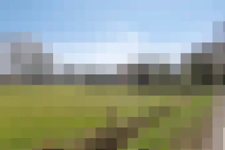 De Braakweg 140 Enschede thumbnail 44