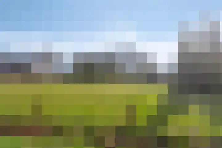 De Braakweg 140 Enschede thumbnail 45