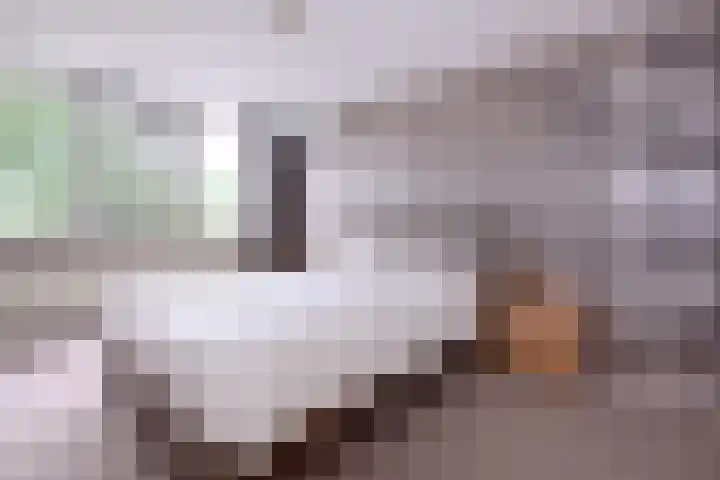 De Braam 11 Deventer thumbnail 13