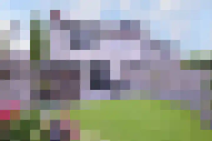 De Braam 11 Deventer thumbnail 30