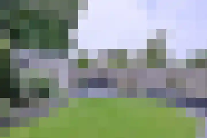 De Braam 11 Deventer thumbnail 34