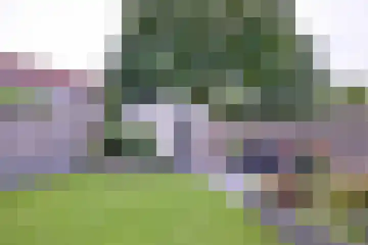 De Braam 11 Deventer thumbnail 35