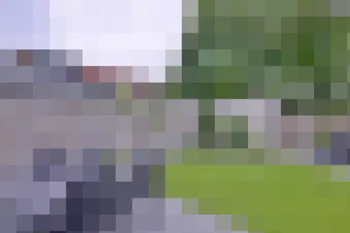 De Braam 11 Deventer thumbnail 36