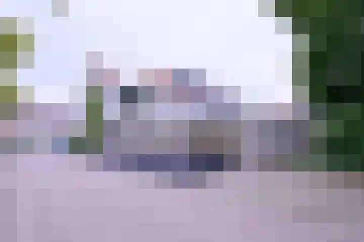 De Braam 11 Deventer thumbnail 37