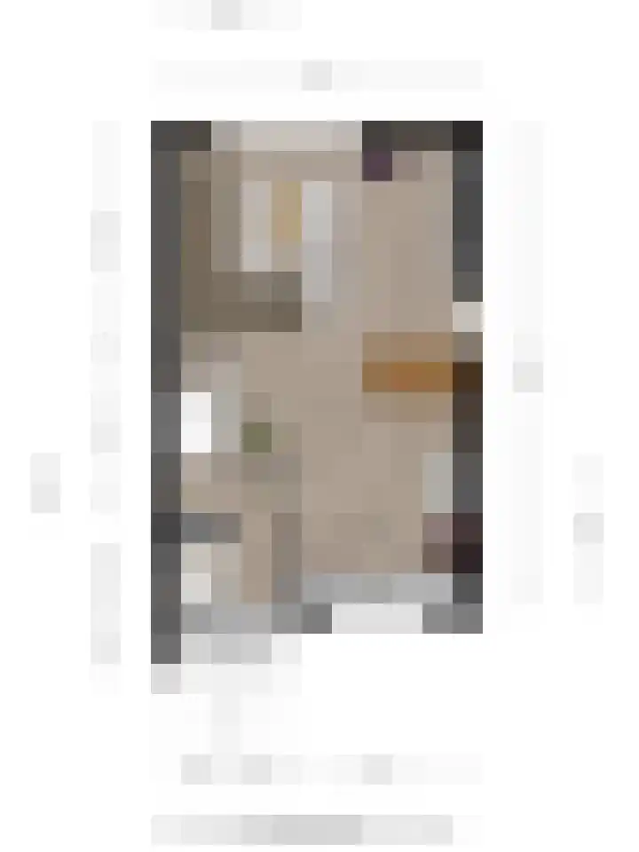 De Braam 11 Deventer thumbnail 41