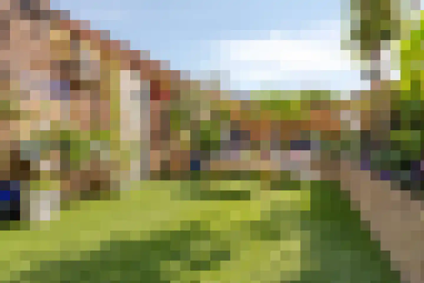 De Braam 116 Deventer thumbnail 29