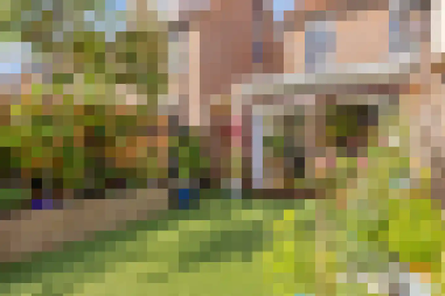 De Braam 116 Deventer thumbnail 30